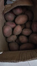 【真便宜】云南红皮土豆高原黄心土豆马铃薯红皮黄心洋芋减脂蔬菜 红皮土豆 9斤 净重 单果1-3两 实拍图