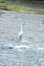 适马（SIGMA）16-300mm f3.5-6.7 DC OS ｜Contemporary 半画幅 远摄变焦镜头 旅游风光人像（RF卡口） 实拍图