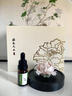 Para Ella永生花陶瓷牡丹生日礼物伴手礼母亲节妈妈结婚纪念护士退休情人节 实拍图