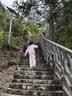 骆驼登山杖户外徒步爬山轻便携伸缩登山装备铝合金拐杖防身棍 2SA7D41 实拍图