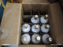 汾酒 出口白瓷 2019年 清香型白酒 53度 750ml*12瓶 整箱装 陈年老酒【名酒鉴真】 实拍图