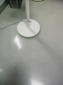 云南本草抑菌膏湿疹软膏止痒阴囊潮湿手足脱皮小水泡牛皮癣膏 实拍图