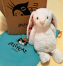 Jellycat害羞乳白色邦尼兔动物毛绒玩偶安抚玩偶娃娃送礼儿童节生日礼物 花布胭脂粉色邦尼兔（彻蕊） Small 实拍图