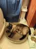 疯狂的主人猫抓板窝碗形大号猫抓盆不掉屑猫窝宠物猫玩具瓦楞纸猫爪板 实拍图