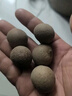十月稻田 桂圆干 500g 带壳龙眼干 肉厚甘甜 休闲零食 枸杞红枣泡茶八宝粥 实拍图
