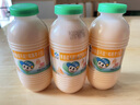 李子园【成毅代言】甜牛奶饮品低脂低糖哈密瓜奶225ml*20瓶整箱营养早餐 实拍图