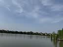 盲公饼佛山特产320g袋装  花生芝麻酥饼 独立小包装 茶糕点 合记饼 (盲公饼x4袋)320g 实拍图