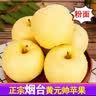 甜醉了 烟台苹果黄元帅粉面苹果黄金帅黄香蕉山东新鲜水果当季整箱鲜果 净重3斤70-80mm 实拍图