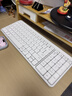 罗技（Logitech）MK251无线蓝牙键盘鼠标套装 办公商务笔记本电脑 数字键盘99键白色键鼠套装（K251键盘+M196鼠标） 实拍图