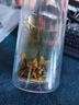 张一元茉莉花茶叶毛尖浓香型新春茶老北京伴手礼品口粮茶特种200g礼盒装 实拍图