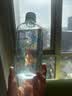 秝客75%脱醛酒精消毒液500ml*5 无醛消毒酒精喷雾玩具消毒免洗洗手液 实拍图