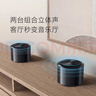 小米（MI）Xiaomi Sound 高保真智能音箱 小爱音箱 小米音箱 黑胶经典款 音响 哈曼调音 立体声 礼物 实拍图