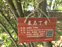 飞利浦（PHILIPS）蓝牙耳机骨传导概念真无线挂耳式开放式不入耳夹式运动跑步长续航高端降噪通用苹果华为TAT5739-白 实拍图