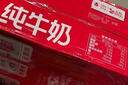 三元纯牛奶250ml*24盒北京限定（原特品） 整箱送礼 新老包装随机发货 实拍图