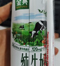 伊利【新鲜日期】金典纯牛奶早餐奶250ml*16 3.6g乳蛋白 礼盒装 3-4月 实拍图