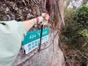 ZHR则则登山鞋女户外运动鞋女轻便厚底增高休闲女鞋 KD215 棕色 37 实拍图