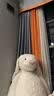 Jellycat害羞乳白色邦尼兔动物毛绒玩偶安抚玩偶娃娃送礼520礼物 害羞乳白色邦尼兔 Giant 实拍图