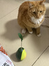 HELLOJOY猫玩具自嗨解闷逗猫棒不倒翁漏食球猫薄荷宠物猫玩的猫咪用品大全 实拍图