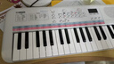 雅马哈（YAMAHA）PSS-E30 电子琴多功能初学者音感小白琴生日儿童节礼物标配+琴包 实拍图