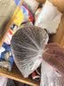 蜀国御 儿童全荞麦枕头青少年学生睡眠低枕6-15岁枕头舒适睡眠.慕简蓝色 实拍图