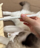 倍思电容笔iPad触控笔适用2026年款iPad Pro/Air8/Mini/iPad11平板触屏手写笔磁吸Apple pencil二代 实拍图