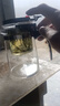 飘逸壶泡茶壶耐热高温玻璃沏茶过滤内胆冲茶器家用茶具套装 飘逸杯500mL1个 实拍图
