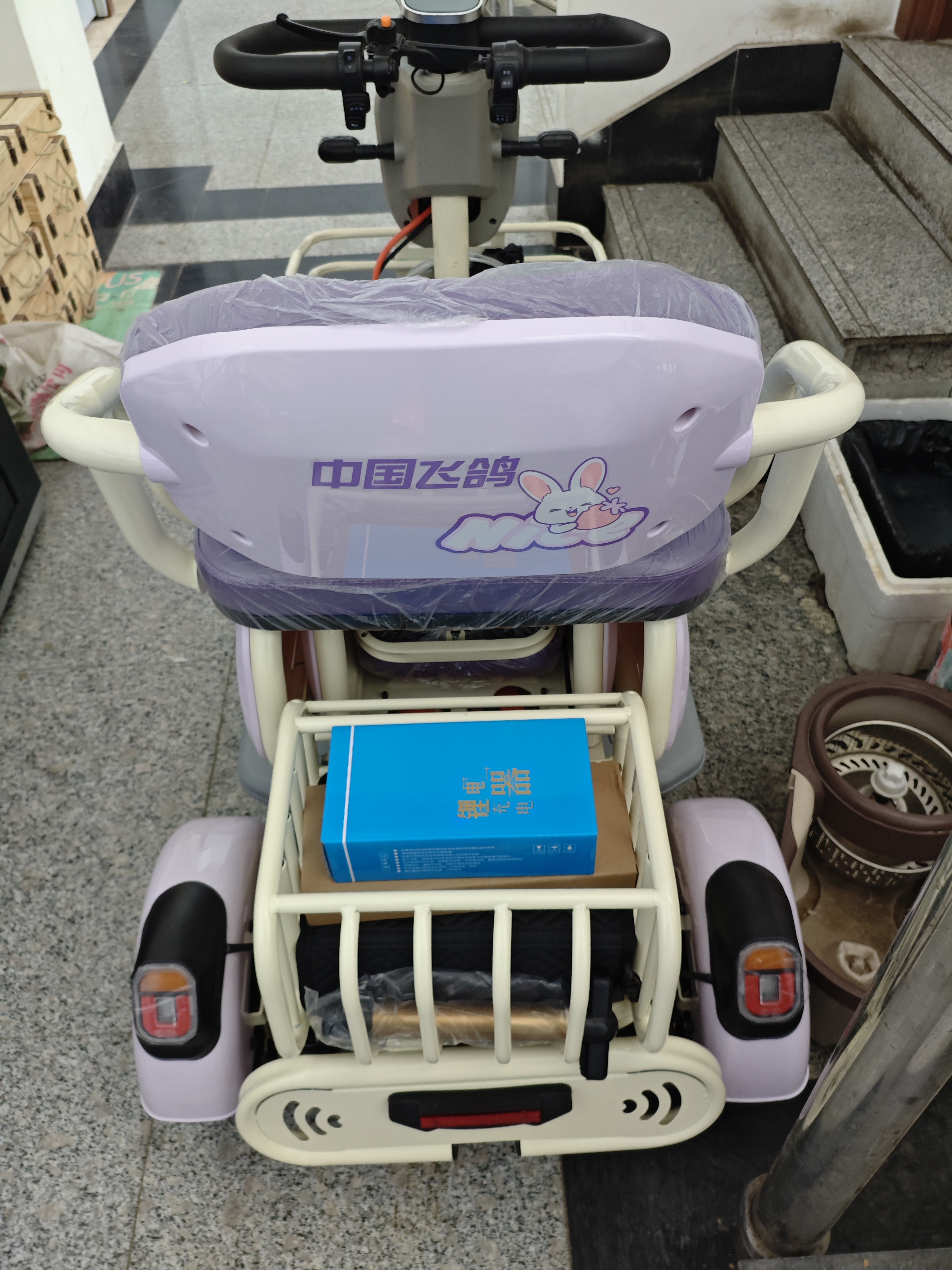 飞鸽四轮老年电动车老人代步车电动车四轮最新款高端景区观光车 【国标好电池】600W60V25AH石墨烯约65公里 实拍图