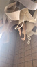 ubras虞书欣同款无尺码免拆胸垫背心式内衣女无痕无钢圈聚拢文胸母亲节 实拍图