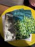 珀莱雅小球藻面膜补水保湿海藻补玻尿酸水面膜男女士生日礼物520礼盒 实拍图