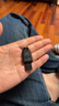 闪迪（SanDisk）64GB USB3.2 U盘 CZ550黑色 读速100MB/s 安全加密 数据恢复 学习办公电脑车载 高速大容量优盘 实拍图