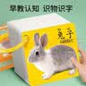 奕思瑞早教书彩色卡婴儿童认知卡片0-1-3岁动物识数字看图识物宝宝玩具 动物+果蔬【2盒180面】 实拍图