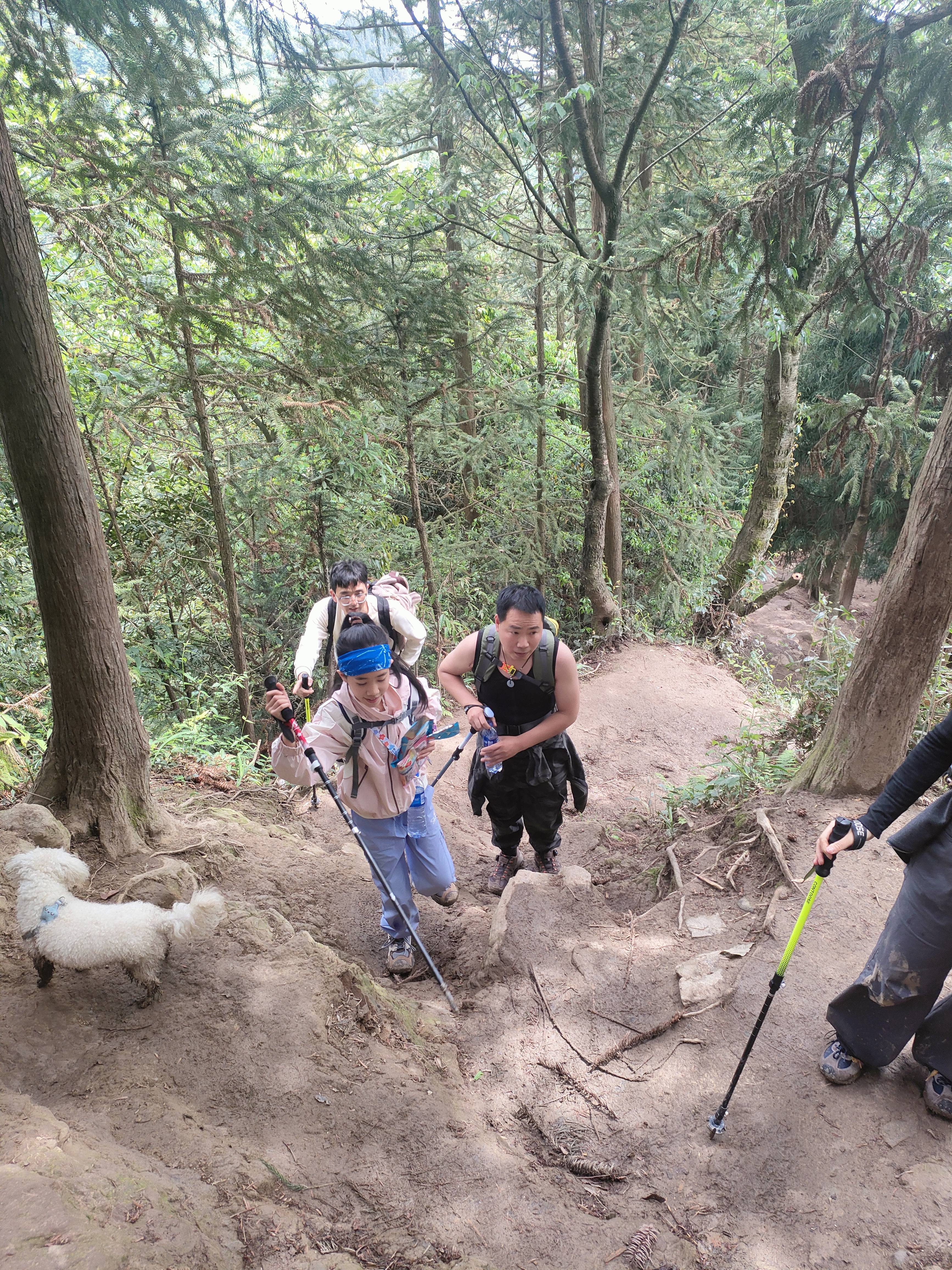 回力女鞋夏季透气登山鞋百搭厚底增高老爹鞋 灰/棕 36/尺码偏大半码 实拍图
