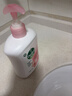 滴露（Dettol）洗手液抑菌消毒滋润500g+500g 补充装儿童家庭护手替换 实拍图