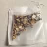 承义堂苓桂术甘组合汤原料231克7副 茯苓桂枝白术甘草 独立包装中药材 实拍图