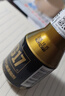 G17六合一全效升级小金瓶汽油添加剂燃油宝 巴斯夫原液除积碳60ml 实拍图