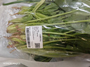 大菠菜300g 实拍图