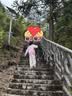 骆驼户外登山杖多功能伸缩拐杖超轻便防身拐棍行山杖徒步装备 2SA7D42 实拍图