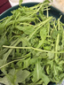 槿馐芝麻菜250g-2500g新鲜蔬菜沙拉食材生菜西餐箭菜新鲜采摘基地直发 新鲜芝麻菜500g 晒单实拍图