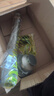 起点如日（QIDIANRURI）厨房洗菜盆下水管防臭单槽不锈钢下水管下水器套装水槽下水器套装 通用110下水器+40cm管【升级精铜接头 生锈/漏水包退】 实拍图