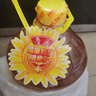鲁花 食用油 物理压榨 葵花仁油6.18L  实拍图