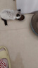 皇家幼猫奶糕 幼猫猫粮 BK34 通用粮 1-4月 2KG 实拍图