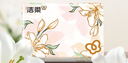 洁柔抽纸 繁花系列3层100抽*20包 可湿水面巾纸 柔韧卫生纸 整箱纸巾 实拍图