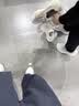 亚瑟士ASICS男鞋透气跑鞋运动鞋缓震舒适跑步鞋 GEL-CONTEND 4 白色/银色 39 实拍图
