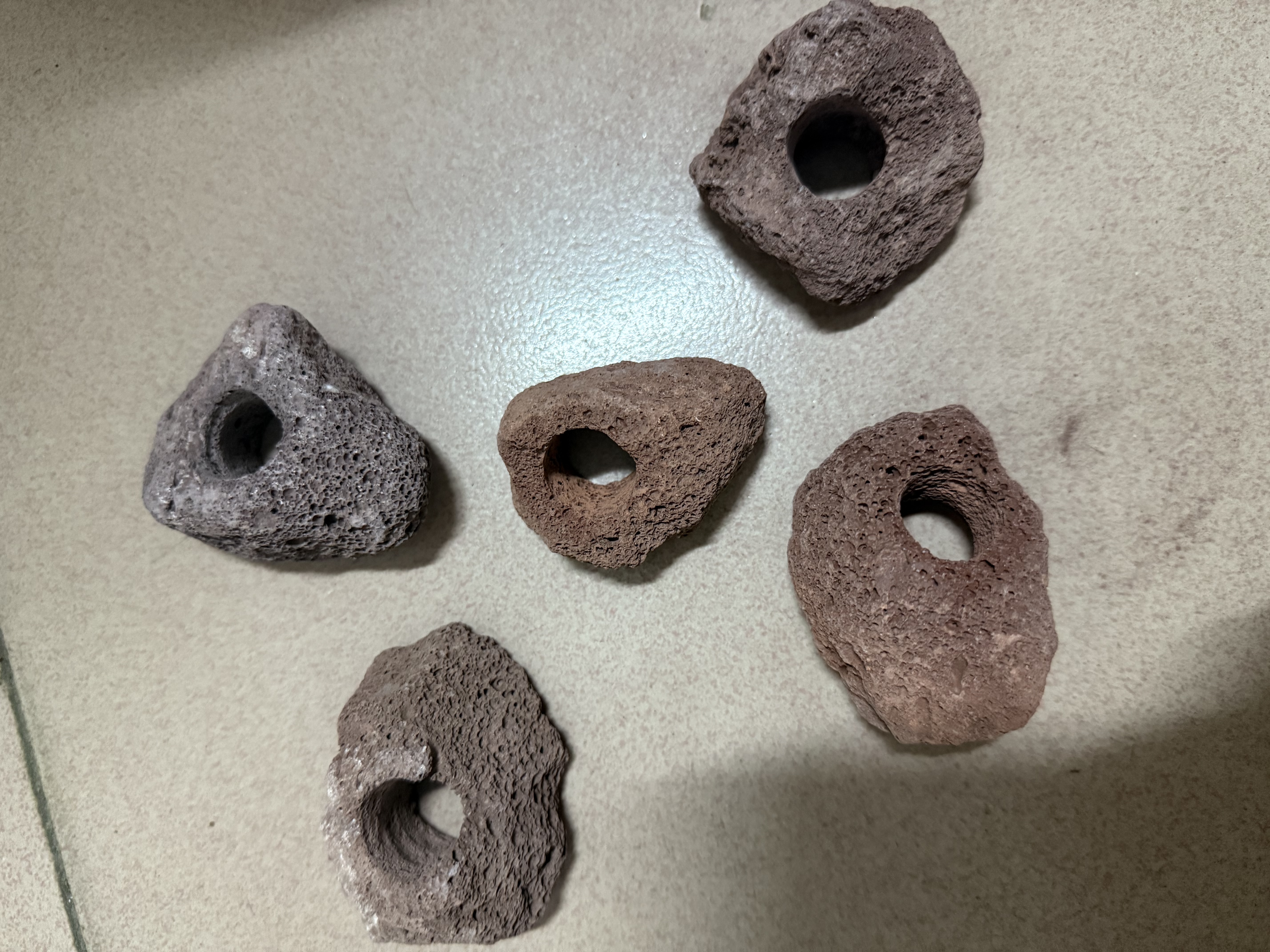 京霁天然火山石水草培菌定植环鱼缸造景装饰水草固定底座打孔火山石 火山石定植环5个送定植棉【孔内径约2cm】 晒单实拍图