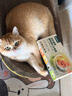 网易严选猫湿粮宠物零食浓汤大口肉罐头 鸡肉+三文鱼85g*6罐 实拍图