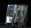 寿禾草莓苗带土发货大苗寿光大型苗场四季带盆栽好蔬菜苗批发种子秧苗 小白草莓苗6棵+肥料 实拍图