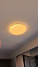 灵翔之光led吸顶灯简约圆形温馨浪漫现代卧室阳台玄关过道房间灯具星域 35cm三色18瓦 实拍图