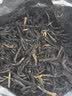 凤牌 红茶 经典58凤庆滇红特级250g罐装 茶叶 中华老字号 实拍图