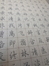 六品堂凹槽练字帖成人行书速成行楷钢笔字帖硬笔男女生反复自动消失成年字体临摹大学生书法练习专用 实拍图