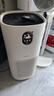 东芝（TOSHIBA）大白梨空气净化器除花粉过敏源甲醛pm2.5等离子消杀母婴家用病毒细菌医护级卫健委备案家用 实拍图